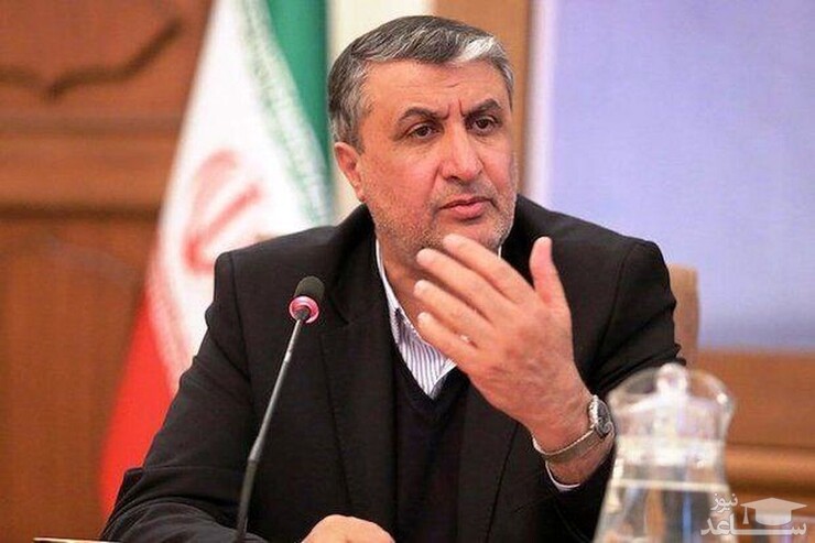 رئیس سازمان انرژی اتمی ایران درباره نصب دوربین‌های برجامی توضیح داد: دوربین‌های برجامی باهدف رفع اتهامات نصب شد و اگر قرار بود اتهامات پابرجا بماند، دلیلی نداشت تا دوربین‌های برجامی وجود داشته باشد؛ بنابراین این دوربین‌ها به دست آژانس انرژی اتمی جمع و پلمپ شده و در تأسیسات نگهداری می‌شود.