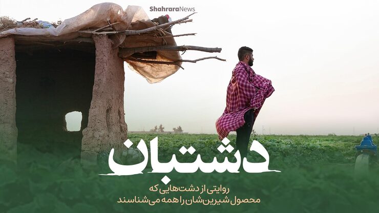 گرمای تابستان را می‌توان با طعم میوه‌های بسیاری که در این فصل می‌آیند، تحمل کرد. یکی از این میوه‌های شیرین تابستانی خربزه است. میوه‌ای در بسیاری از نقاط ایران طرفدار دارد و در منطقه خراسان، زمین‌های بسیاری زیر کشت این میوه هستند و معشیت مردم را تامین می‌کنند. کوتاه و مختصر با یکی از آدم‌هایی که شغلش با زمین و پالیز گره خورده است، همراه شده‌ایم.