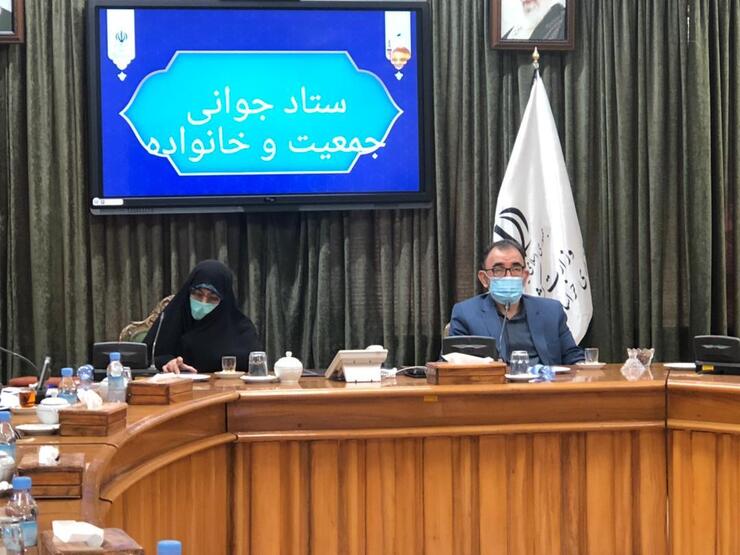 معاون رئیس جمهور در امور زنان و خانواده گفت: سقط جنین در کشور طی ۱۰ سال گذشته سیر صعودی وحشتناکی دارد.