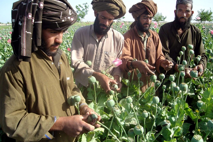 دبیرکل ستاد مبارزه با مواد مخدر، با تاکید بر اینکه ما گریزی جز پیشگیری برای مبارزه با مواد مخدر نداریم، گفت: در یک سال گذشته در خط مبارزه جهانی با مواد مخدر و برای دفاع از امنیت جهانی ۱۲ شهید و چند ده جانباز تقدیم کردیم. این اعتقاد ما است و برایمان فرقی ندارد این مقابله در کجای جهان باشد.