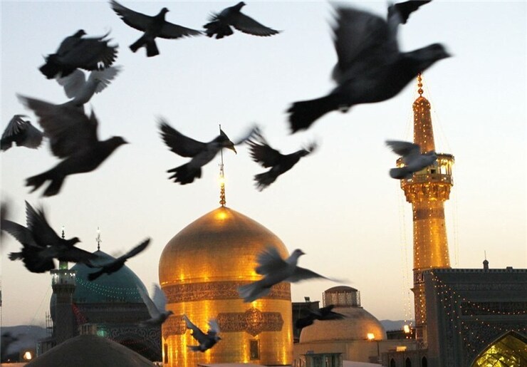 حجت الاسلام  امیر علی حسنلو، استاد سطوح عالی حوزه و مدیر گروه تاریخ و سیره مرکز مطالعات و پاسخ گویی به شبهات حوزه‌های ‏علمیه، معتقد است امام‏ رضا (ع) بزرگ‌ترین متفکر برجسته اسلامى بود.