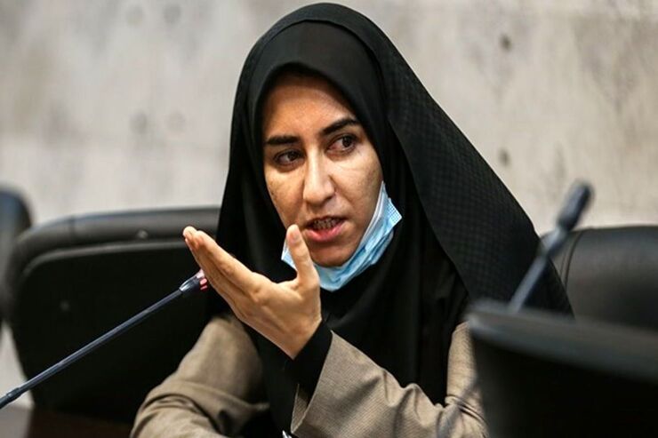 سخنگوی فراکسیون زنان و خانواده مجلس شورای اسلامی گفت: باید شیوه‌های مواجهه با ناهنجاری‌های فرهنگی بدون آموزش و توجه به تبعات آن تصحیح شود. افرادی که مسئول چنین برنامه‌ای هستند نیز باید آموزش‌های لازم را دیده که برای مقابله با یک منکر، خودشان منکرهای بزرگ‌تری مرتکب نشوند