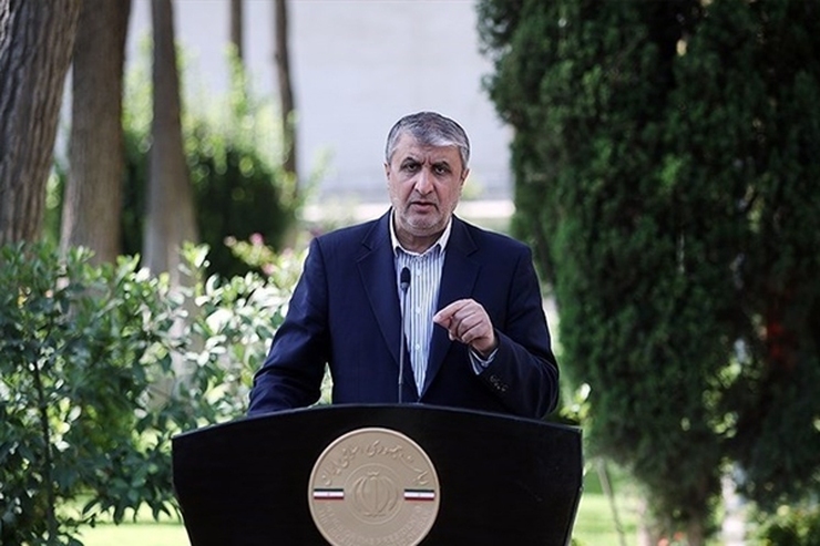رئیس سازمان انرژی اتمی کشورمان گفت: بررسی روند مذاکرات در ماه‌های اخیر نشان داد که دست ایران به اصطلاح پُر است و با توجه به پُر بودن دستانمان و با تأسی به فرمان خداوند مبنی بر اینکه در مقابل دشمنان خود باید قوی باشیم، در مسیر درست حرکت کردیم.