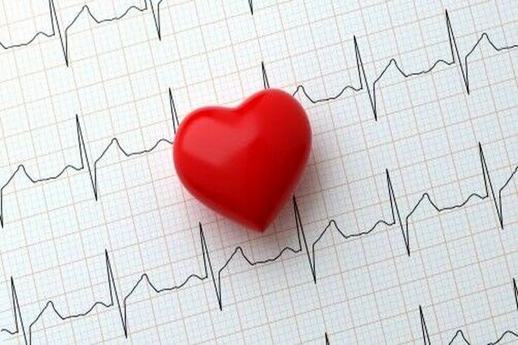 بیماری‌های قلبی از علل اصلی مرگ و میر بوده و عواملی از جمله فشار خون بالا، کلسترول بالا و استعمال دخانیات احتمال ابتلا به بیماری‌های قلبی و عروقی را افزایش می‌دهد.