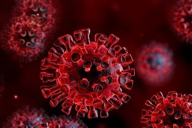 بنابر اعلام وزارت بهداشت، در شبانه‌روز گذشته، ۳۴۵ بیمار جدید مبتلا به کووید۱۹ در کشور شناسایی و ۶۷ نفر از آنها بستری شدند.