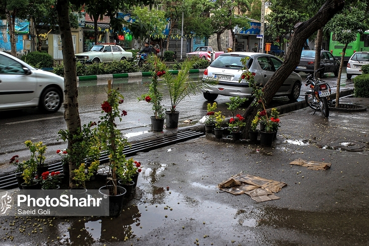 رئیس مرکز ملی پیش‌بینی و مدیریت بحران مخاطرات وضع هوا از وزش باد و بارش پراکنده در برخی استان‌ها خبرداد.