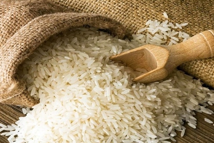 عضو هیئت مدیره انجمن واردکنندگان برنج گفت: با ورود برنج خارجی نو پیش بینی می شود که قیمت برنج هندی ۱۰ درصد کاهش یابد.