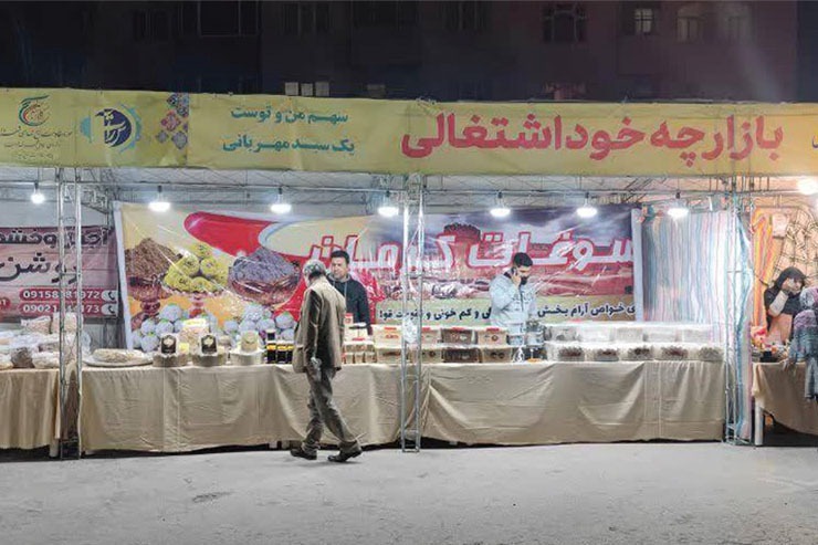 حمایت از مشاغل خانگی یکی از محور‌های برنامه مدیریت شهری برای توسعه کسب‌و‌کار‌ها در حاشیه شهر است.