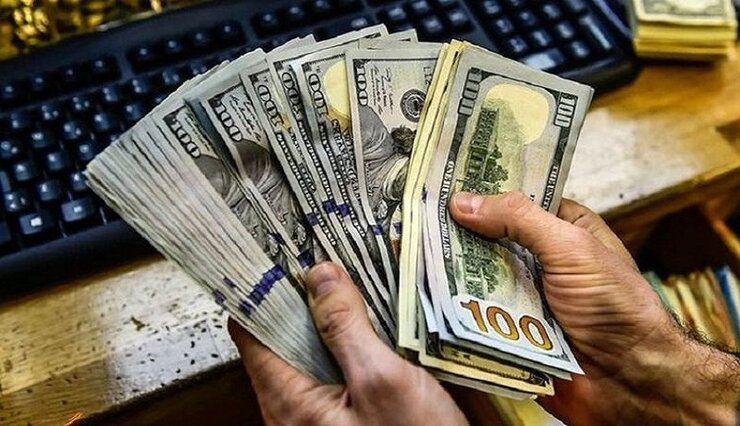 پیگیری‌ها  از سازمان هدفمندسازی یارانه‌ها حاکی است، اطلاعات هویتی افرادی که اقدام به خرید دلار با کارت ملی خود می‌کنند، به عنوان فعالیت اقتصادی خانوار در سامانه ثبت خواهد شد و معیاری برای دهک‌بندی قرار خواهد گرفت.