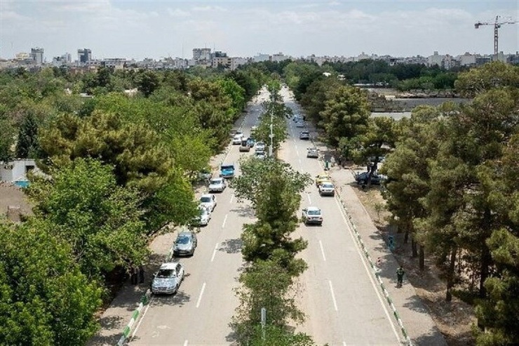 مدیرکل بهبود و محیط زیست شهری شهرداری مشهد از آغاز فرآیند تغییر الگوی کاشت گیاهان در معابرشهری، آیلند‌های میانی بلوار‌ها و پرچین‌های مجاور پیاده رو‌های شهری در سطح مناطق ۱۳گانه شهر مشهد خبر داد.