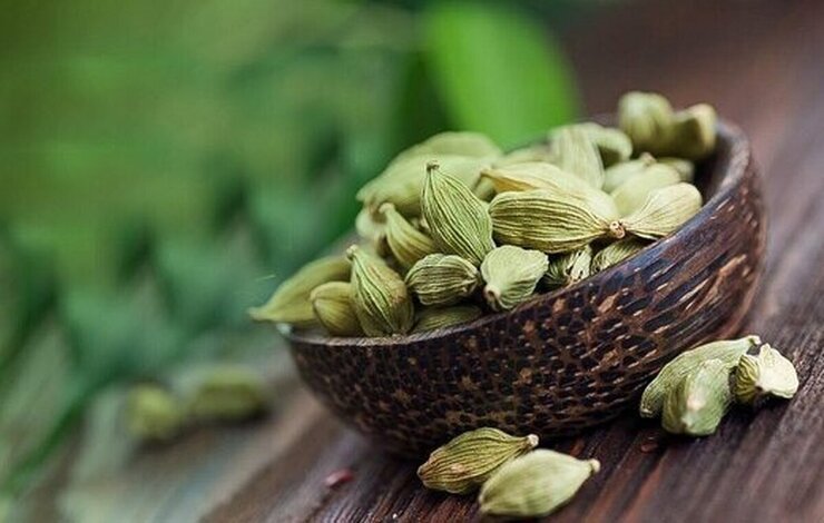هل سبز، گیاهی متعلق به جنوب شرق آسیا و دارای خواص ویژه ای در طب سنتی است. این گیاه دارای رایحه ای بسیار خوش بو و معطر است که در محبوبیت آن نقش بسزایی دارد.