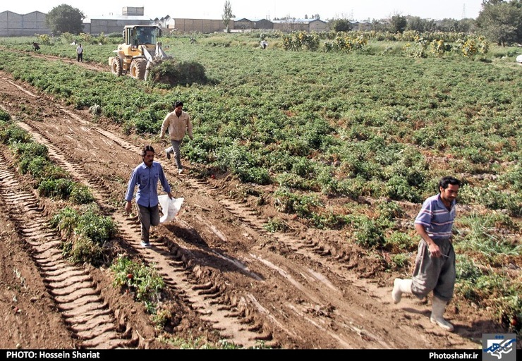 رئیس کمیسیون اصل ۹۰ مجلس از ارائه گزارش تخلفات سامان‌دهی رود تاریخی مشهد تا پایان هفته خبر می‌دهد.