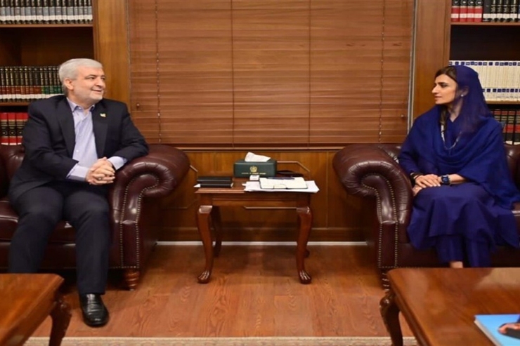 معاون وزارت خارجه پاکستان در دیدار با نماینده ویژه ایران برای افغانستان گفت نقش ایران و پاکستان برای تضمین صلح و ثبات افغانستان حیاتی است.