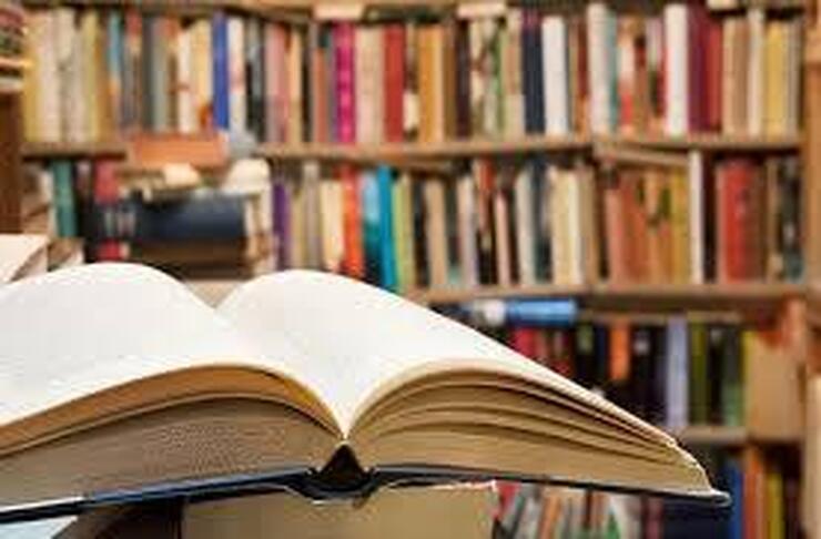 مسابقه کتابخوانی «دیار دلیران»  به همت موسسه فرهنگی و هنری شهید روحی  در مشهد برگزار می‌شود.