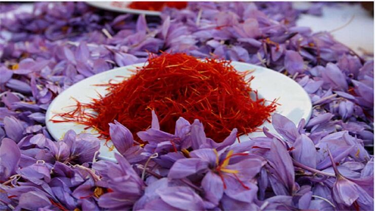 عضو شورای ملی زعفران قیمت هر کیلو طلای سرخ را اعلام کرد.