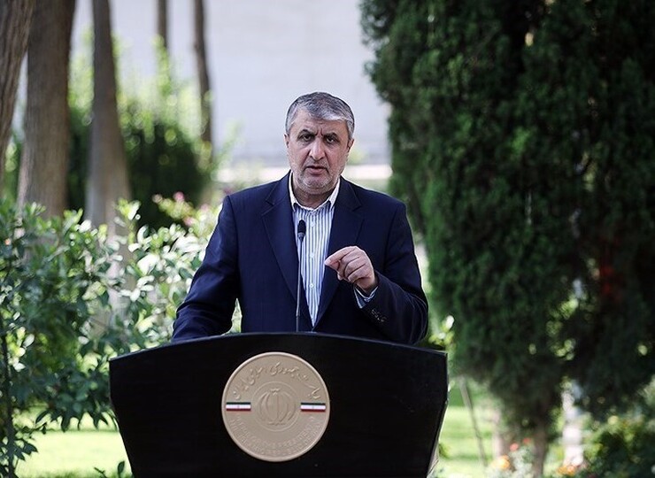 رئیس سازمان انرژی اتمی ایران با بیان اینکه ظرفیت‌سازی برای طراحی و ساخت راکتور‌ها را آغاز و بومی‌سازی آن‌ها را در دستور کار قرار دادیم، گفت: با گسترش فعالیت‌های خود در سطح و عمق در نظر داریم به قطب سازنده نیروگاه‌های هسته‌ای در دنیا تبدیل شویم.