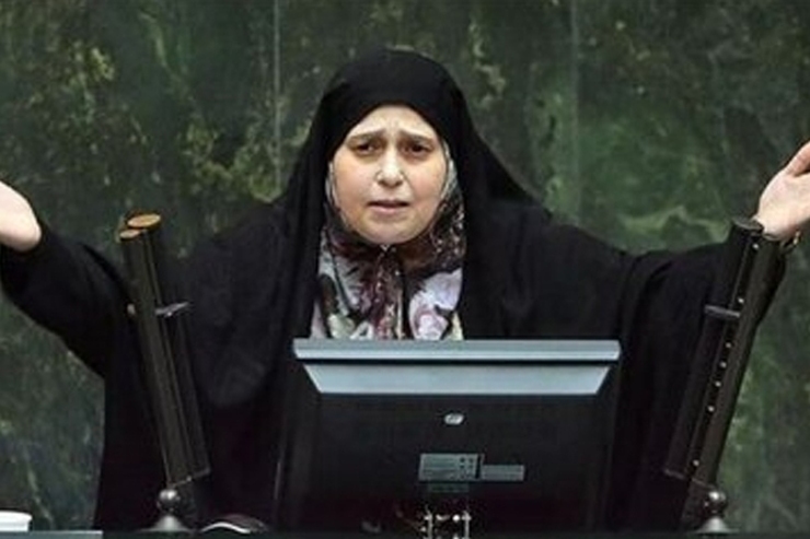 نماینده تهران در مجلس دهم گفت: یکشنبه شب بود که ابتدا از طریق فضای توییتر متوجه شدم خبرگزاری‌های اصولگرا درباره احضار من به قوه قضاییه صحبت می‌کنند. صبح پی‌دی‌اف ابلاغیه را باز کردم و متوجه شدم در آن نوشته شده برای «دفاع از اتهام انتسابی» یعنی اساسا تفهیم اتهامی صورت نگرفته بود که مشخص شود برای چه جرمی من احضار شده‌ام.
