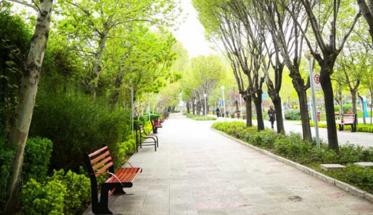 پاسخ روابط عمومی شهرداری منطقه شش مشهد به درخواست افزایش سرانه فضای سبز.