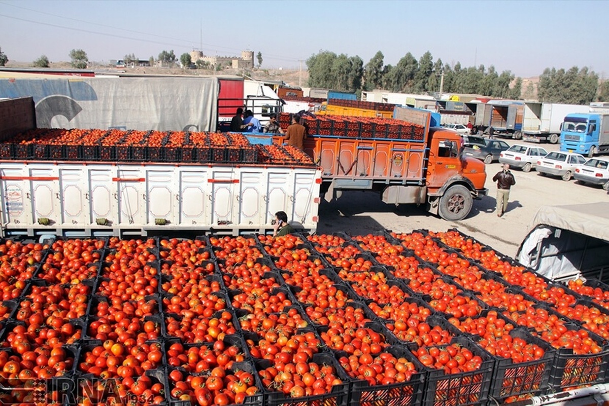 مدیر جهاد کشاورزی تایباد گفت: سالانه ۳۵۰ هزار تن انواع محصولات کشاورزی از طریق مرز دوغارون به افغانستان صادر می‌شود.
