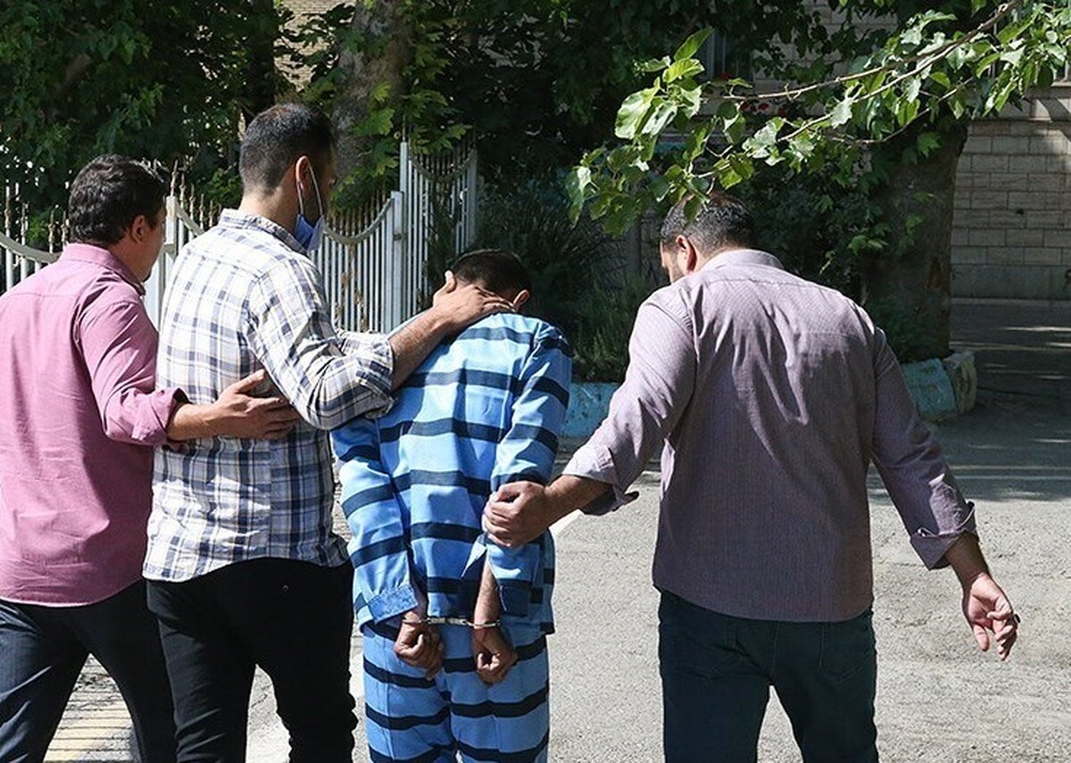 رئیس‌کل دادگستری هرمزگان از دستگیری افرادی خبر داد که قصد داشتند با تهدید و شلیک به کامیون‌ها، رانندگان جنوب کشور را مجبور به اعتصاب کنند.