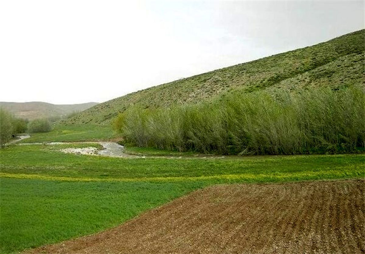 مدیر آب و خاک جهاد کشاورزی خراسان رضوی گفت: با توجه به اهمیت خاک به عنوان بستر تولید،  شناسنامه خاک در مناطق مختلف استان شناسایی شده است و از این بانک اطلاعاتی بزودی رونمایی می شود.