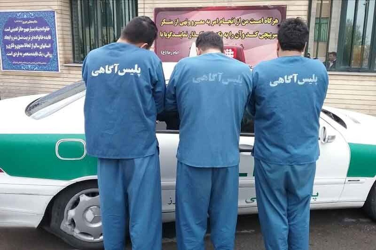 پلیس از دستگیری باند ۶ نفره کیف قاپی خبر داد که در شهر تهران سرقت گوشی و دزدی طلا انجام می دادند.