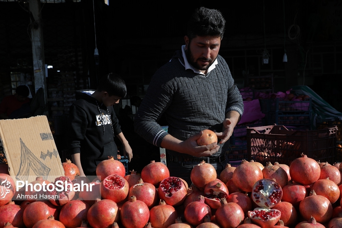  رئیس اتحادیه فروشندگان میوه و تره‌بار تهران گفت: هندوانه بر اساس کیفیت در میدان مرکزی میوه و تره‌بار تهران با قیمت ۵هزار، ۷هزار و ۹هزار تومان به فروش می‌رسد که حداکثر سود خرده‌فروشی آن ۳۵درصد است.