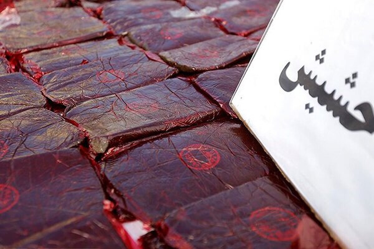 فرمانده انتظامی ویژه غرب استان تهران از دستگیری یک قاچاقچی موادمخدر با بیش از ۱۰۰ کیلوگرم حشیش در این شهرستان خبر داد.