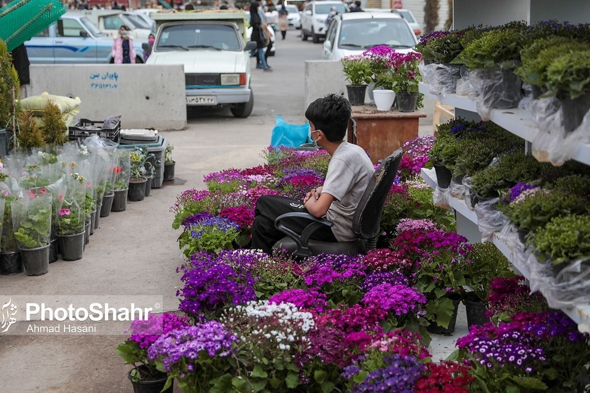 نایب رئیس اتحادیه گل فروشان مشهد گفت: خرید گل در ایران مناسبتی است. در آستانه شب یلدا و دیگر مناسبت ها به دلیل تقاضا قیمت گل تا حدودی افزایش پیدا می‌کند.