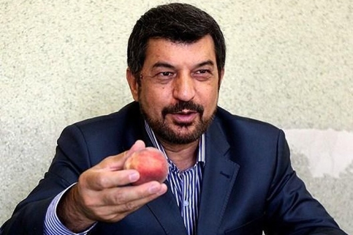 مجری سابق صداوسیما که در پی حوادث اخیر در بازداشت به سر می‌برد، آزاد شد.