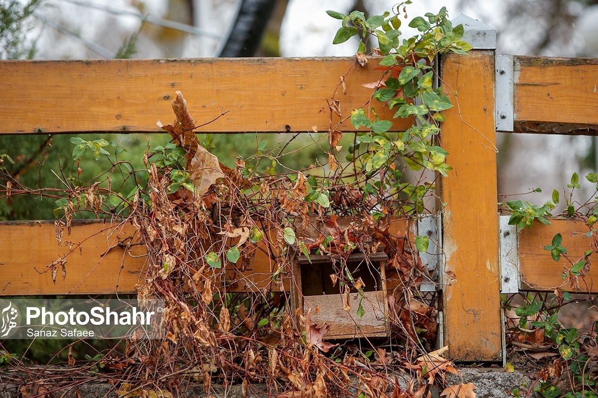 کارشناس مرکز پیش‌بینی هواشناسی خراسان رضوی گفت: روز‌های پنجشنبه و جمعه کاهش محسوس دما را خواهیم داشت. به‌گونه‌ای که در مناطق مستعد در سردترین ساعات شب دمای هوا به ٢ درجه سانتی‌گراد خواهد رسید. 