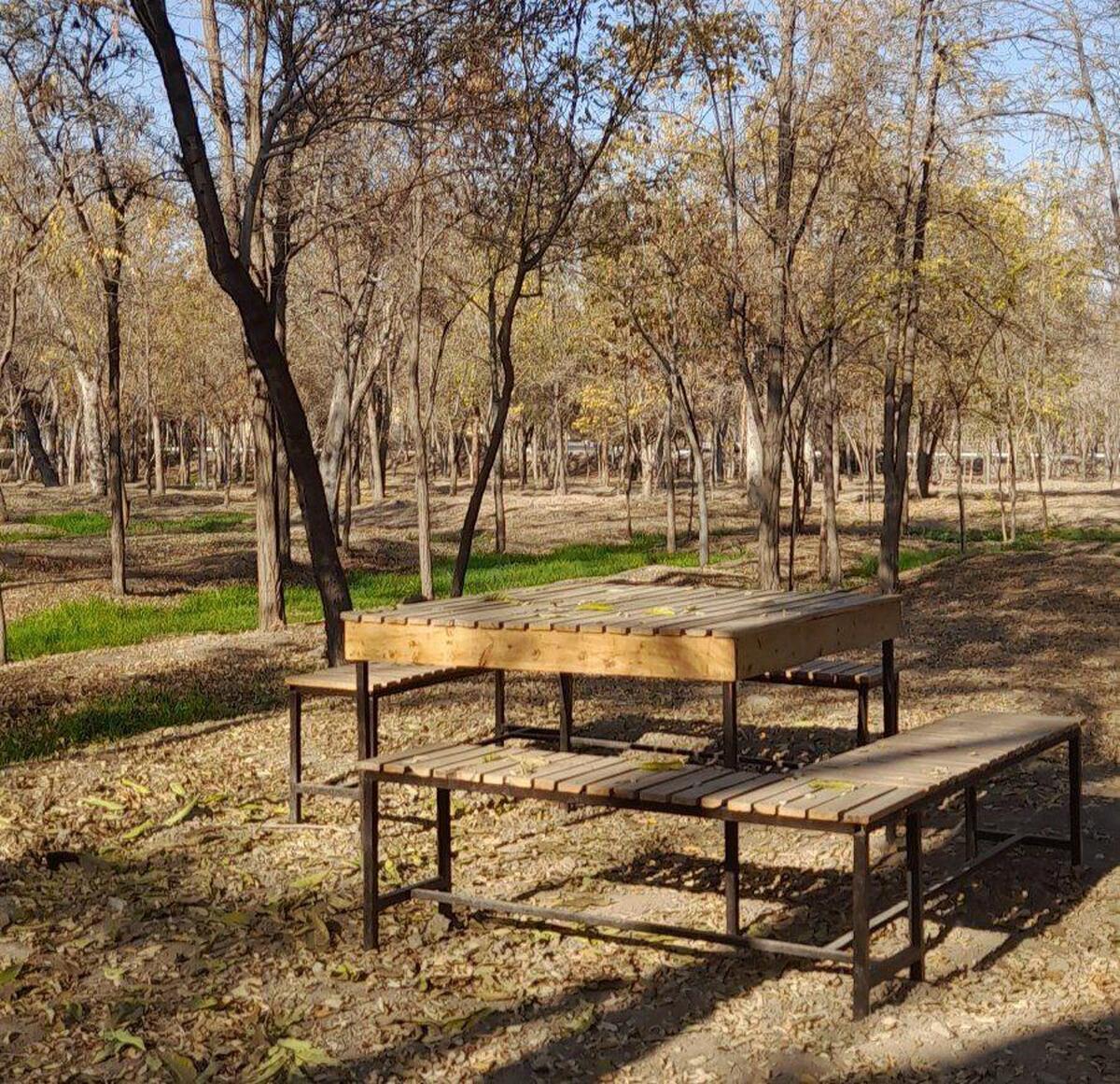 عضو شورای شهر مشهد گفت: بوستان جهان‌شهر به عنوان منحصر به فردترین فضای سبز مشهد، اثری ماندگار است که در بهترین منطقه مشهد و محور اتصال مرکز شهر به ارتفاعات جنوبی خواهد بود.