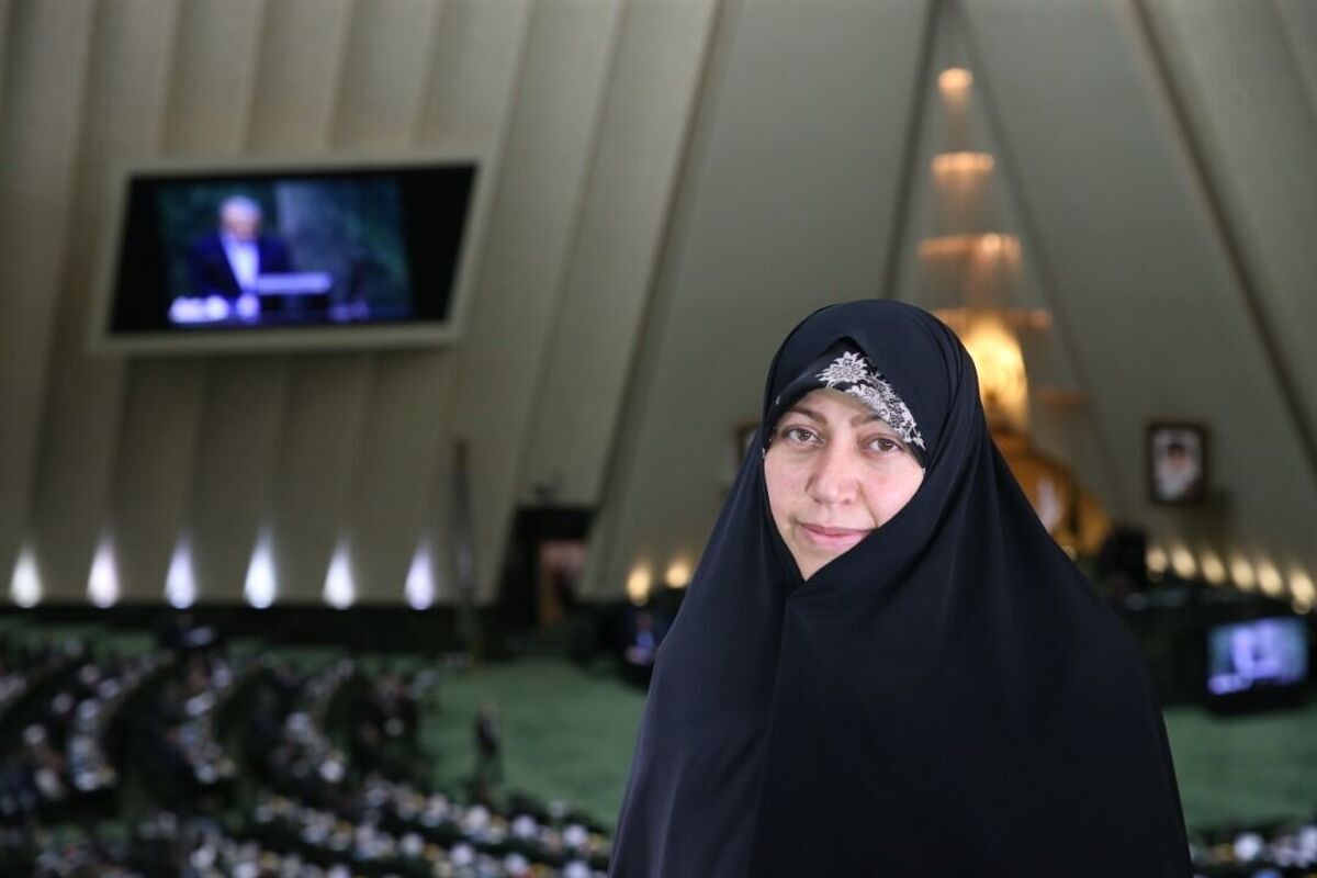 رئیس فراکسیون جوانی جمعیت و حمایت از خانواده در مجلس گفت:عدم تخصیص عملکردی بودجه برای قوانین حیاتی ازجمله حمایت از خانواده و جوانی جمعیت و حمایت از معلولان نشان از معضلات عمیق در سازمان برنامه و بودجه دارد.