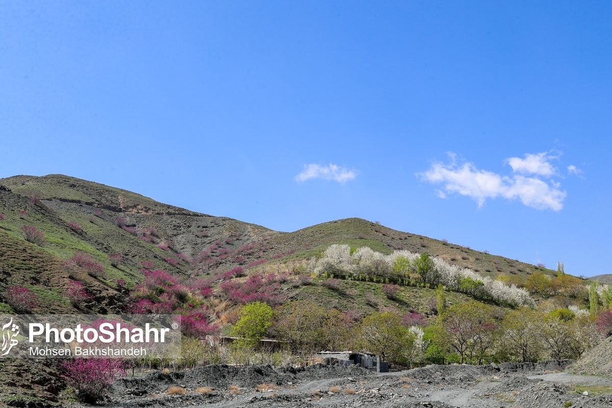 کارشناس مرکز پیش‌بینی هواشناسی خراسان رضوی گفت: امروز و فردا وزش باد شدید همراه با گردوخاک، کاهش میدان دید و آسیب به سازه‌های موقت در استان ادامه دارد و هوای گرم در استان ماندگار خواهد بود.
