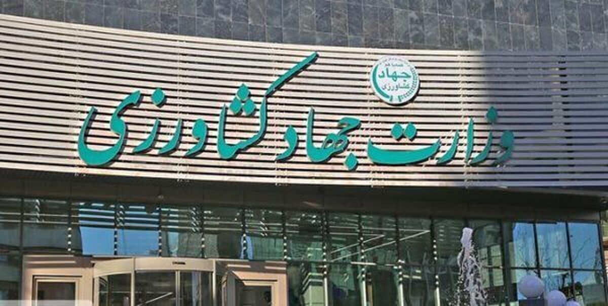 مدیر کل امور اداری وزارت جهاد کشاورزی از اعلام نتایج نهایی نهمین آزمون استخدامی ستاد و سازمان جهاد کشاورزی استان‌ها تا هفته آینده خبر داد.