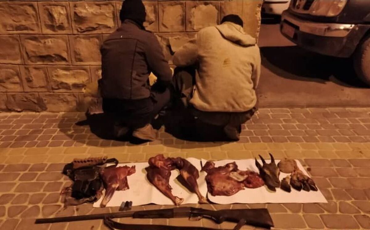 فرمانده یگان حفاظت محیط زیست خراسان رضوی گفت: طی یکسال گذشته در پی گشت زنی و حفاظت ماموران یگان حفاظت از عرصه‌های منابع طبیعی استان یک هزار و ۸۷ متخلف شکارو صید در این استان دستگیر شدند.