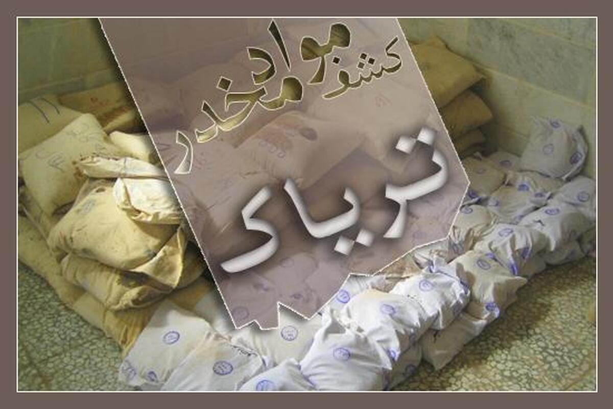 فرمانده مرزبانی استان خراسان رضوی از کشف ۴۲۶ کیلوگرم موادمخدر با اشرافیت اطلاعاتی مرزبانان این استان خبر داد.
