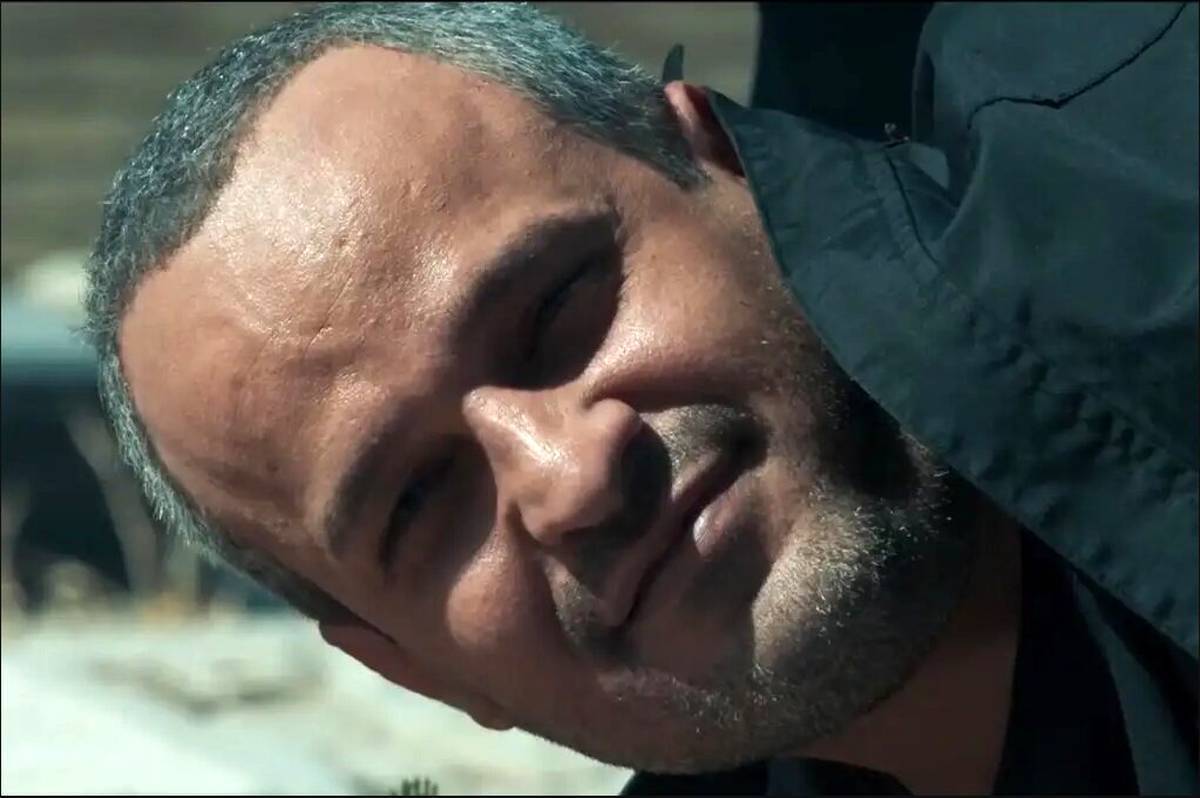 سریال «پوست شیر» فردا چهارشنبه ۳۰ فروردین به پایان می‌رسد؛ سریالی که در سه فصل هشت قسمتی با شخصیت‌ها و موقعیت‌های جذاب، موفقش شد عنوان بهترین سریال شبکه نمایش خانگی در یک سال اخیر را به خودش اختصاص دهد. حالا یک روز مانده به پایان پخش این سریال، اظهارنظر‌ها درباره چگونگی پایان‌بندی ماجرا‌ها به اوج خود رسیده است.