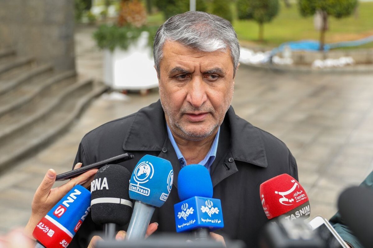 رئیس سازمان انرژی اتمی ایران گفت: روند مذاکرات در حال پیشرفت و پیگیری هست و هر روز هیات‌های فنی و کارشناسی میان ایران و آژانس در رفت و آمد و ارتباط هستند.