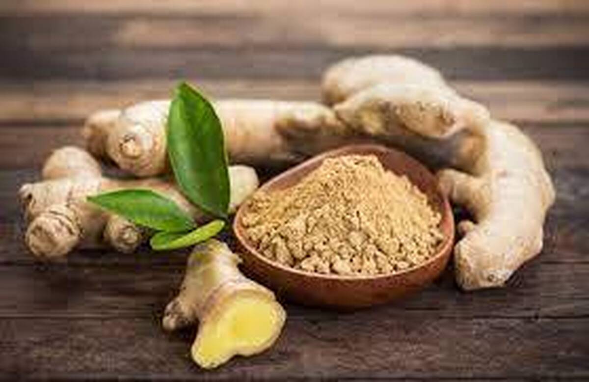 زنجبیل نوعی ریشه گیاهی دارویی و خوراکی است که استفاده از آن قدمت طولانی‌ای دارد، علاوه بر آن که این گیاه به عنوان ادویه مورد استفاده قرار می‌گیرد کاربردهای درمانی زیادی هم دارد.