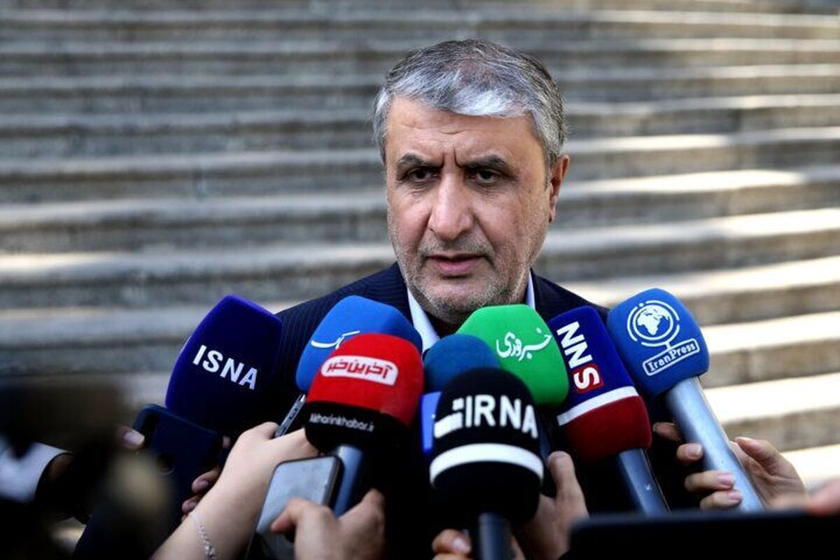 رئیس سازمان انرژی اتمی گفت: افتتاح دومین کلینیک پلاسماتراپی برای درمان زخم گشایش بزرگی بود. این کلینیک می‌تواند رنج و محنتی که به ویژه بیماران دیابتی و زخم‌هایی که پیشروی زیادی دارند را تسکین دهد.