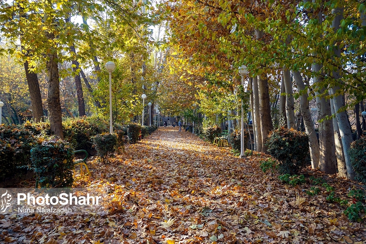 کارشناس مرکز پیش بینی هواشناسی خراسان رضوی گفت: روند افزایشی دما همچنان در استان ادامه دارد و بیشینه دمای هوا تا روز‌های میانی این هفته بین سه تا پنج درجه افزایش خواهد یافت.
