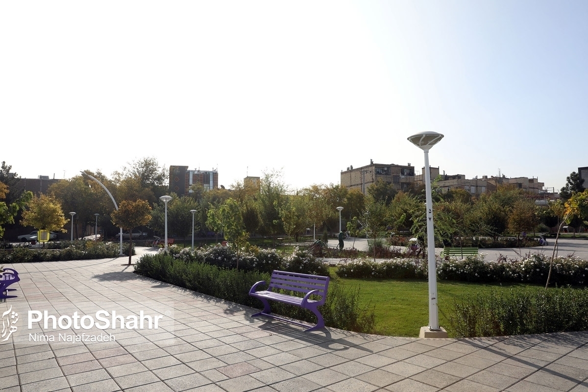 مدیرعامل سازمان پارک‌ها و فضای سبز شهرداری مشهد از اضافه شدن دسته بندی فضای سبز در سامانه آموزش تعاملی سونرژی خبر داد.