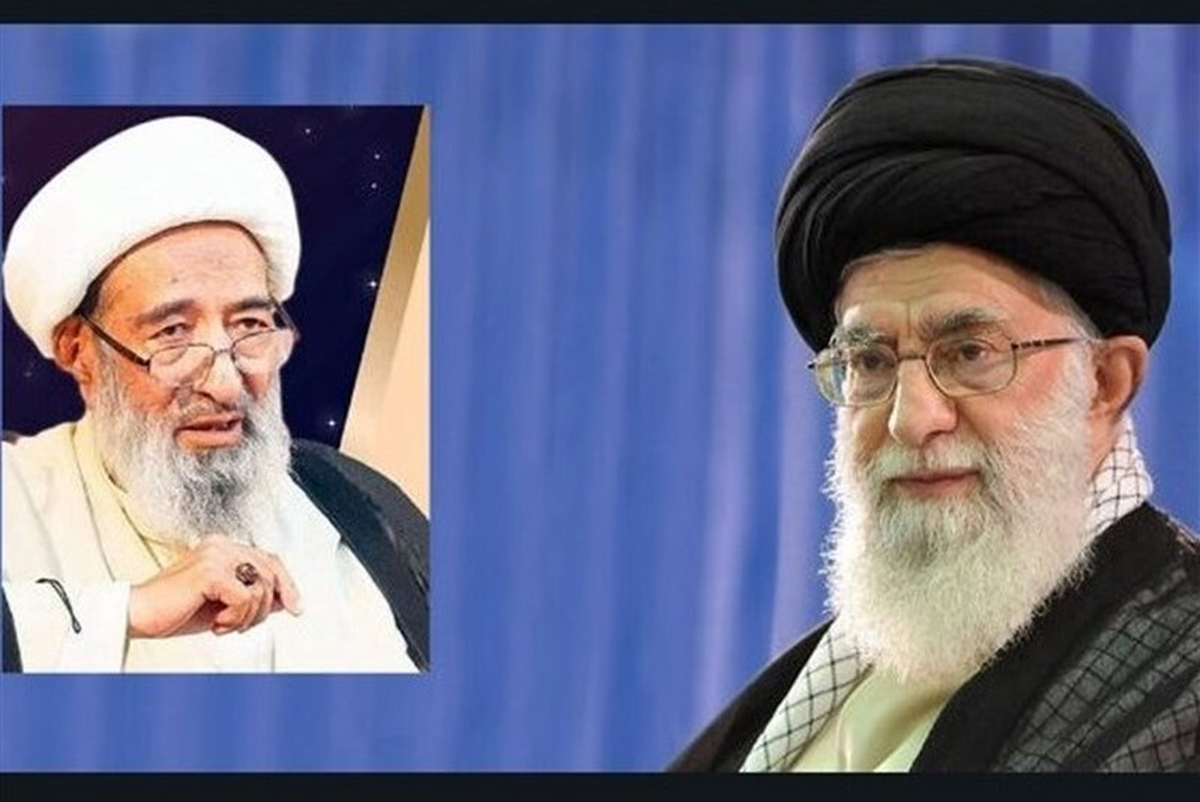رهبر معظم انقلاب اسلامی در پیامی ارتحال عالم بزرگوار حجت‌الاسلام والمسلمین حاج شیخ «محسن علی» نجفی را به علماء و حوزه‌های علمیه پاکستان تسلیت گفتند.