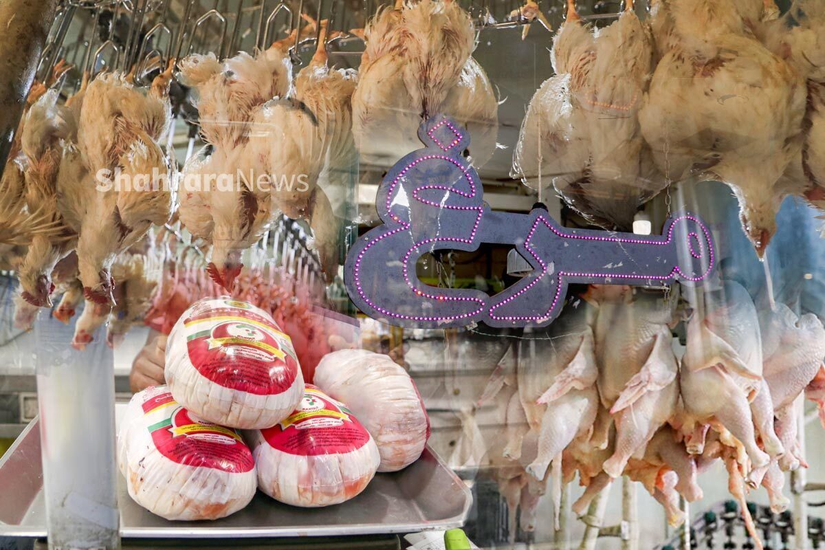مدیر بازرسی نظارت اصناف خراسان رضوی گفت: با توجه به کنترل قیمت مرغ زنده، قیمت مرغ کلیپسی(کامل)به زیر قیمت مصوب رسیده است.
