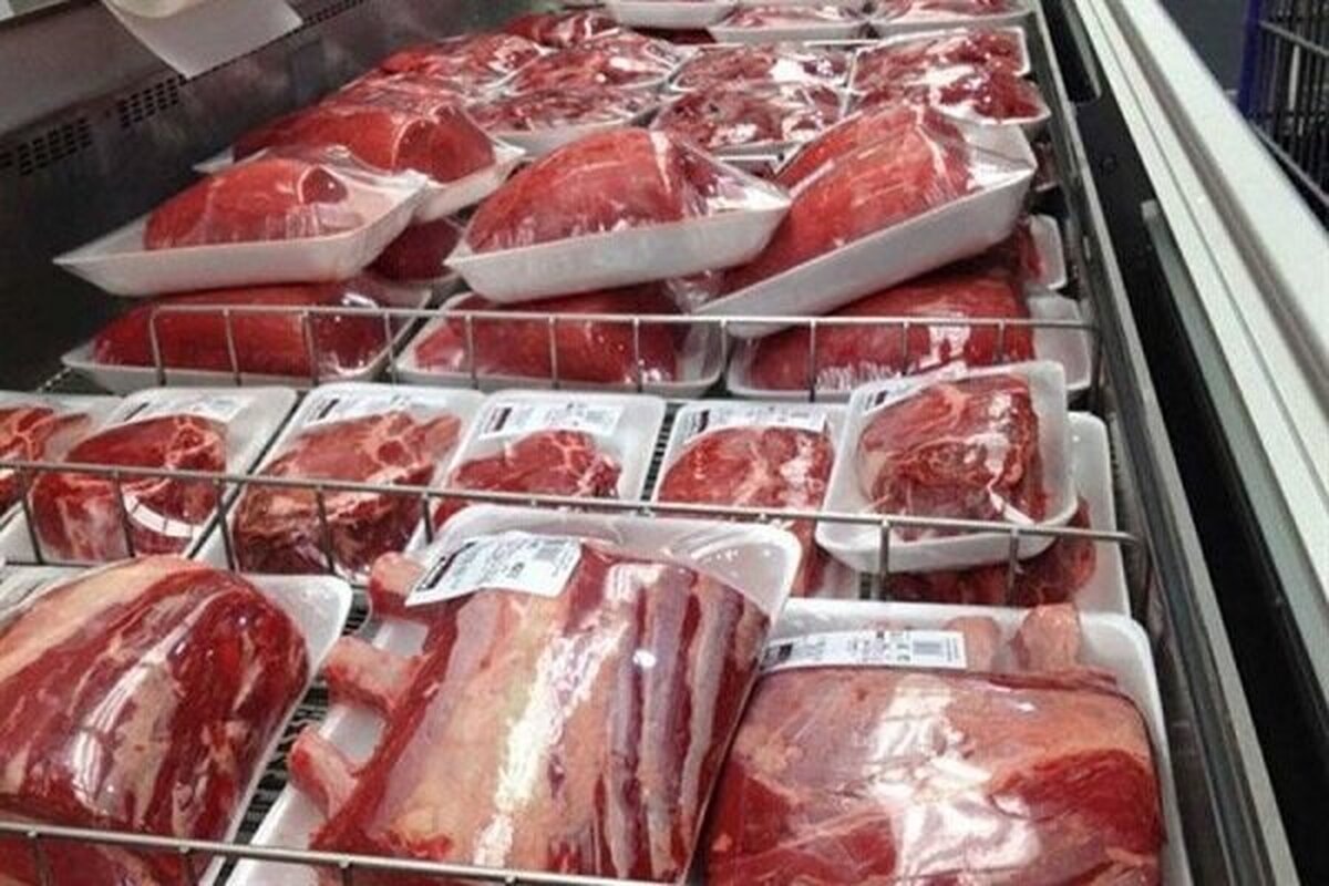 مدیرعامل اتحادیه دام سبک گفت: بنابر آمار طی ۱۰ ماه گذشته حدود ۸۲ هزارتن گوشت وارد شده، ضمن آنکه مقادیر زیادی دام زنده گوسفند و گوساله وارد شده است.