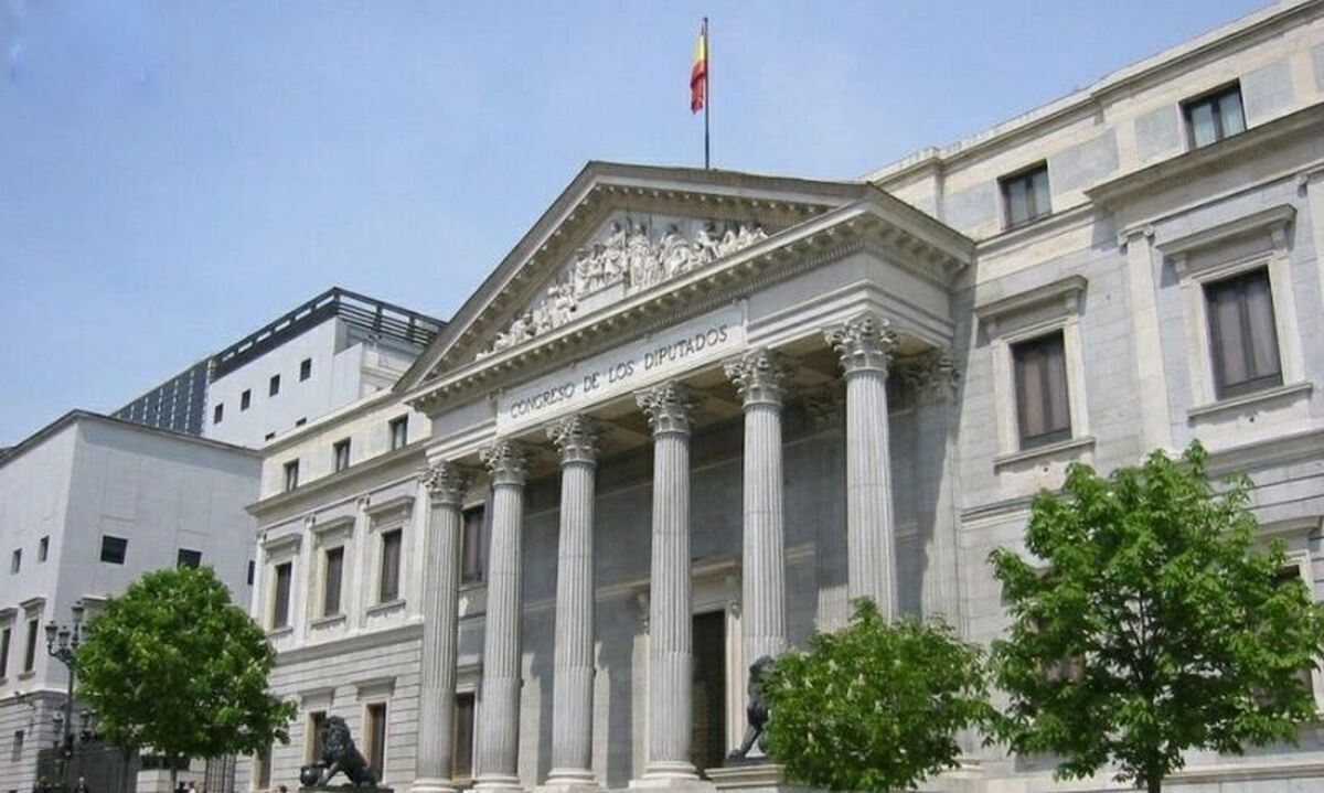 پارلمان محلی والنسیا اسپانیا برای نخستین بار داای یک نماینده زن با معلولیت سندرم داون شده و تحسین همگان را برانگیخته است.