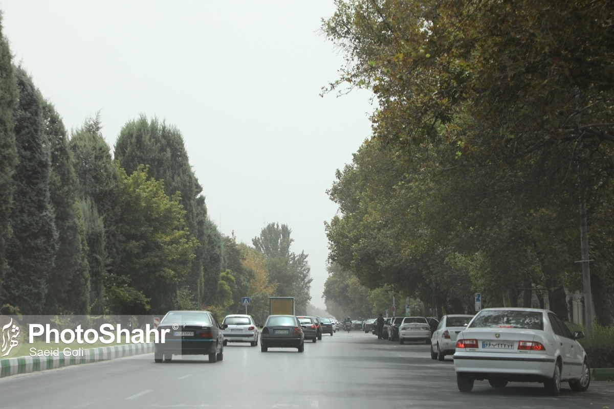 رئیس سازمان محیط زیست از هزینه یک میلیارد دلاری برای حفظ محیط زیست در منطقه ویژه اقتصادی پارس جنوبی خبر داد.