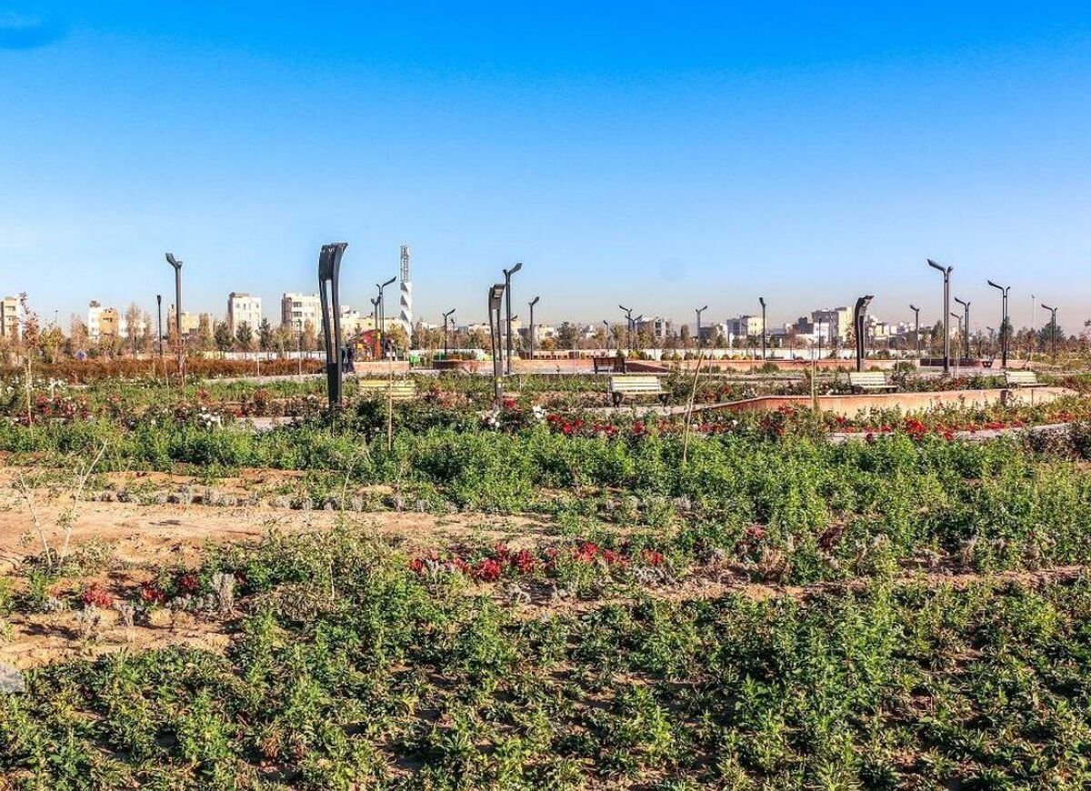 بوستان برکت با ۲۳.۵ هکتار مساحت، محدوده‌ای به مساحت یک هکتار برای کشاورزی شهروندان دارد که در آن ۲۰۰ قطعه ۲۵ مترمربعی برای شهروندان جهت کشت درنظرگرفته شده است.