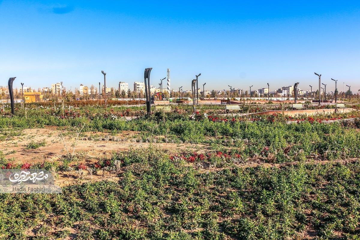 کشاورزی شهری در حال حاضر به‌عنوان رویکرد جدید امنیت غذایی، توانسته پاسخگوی نیاز یک‌چهارم جمعیت شهرنشینان جهان باشد.